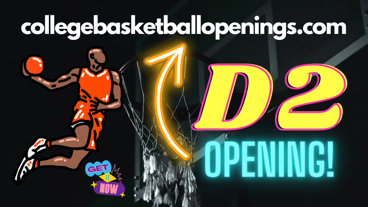 NCAA D2 Recruiting Multiple Positions! 2024